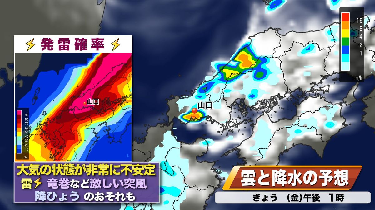 雨雲予想と発雷確率