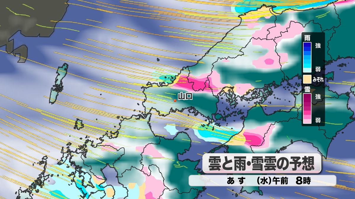 雲と雨・雪雲の予想