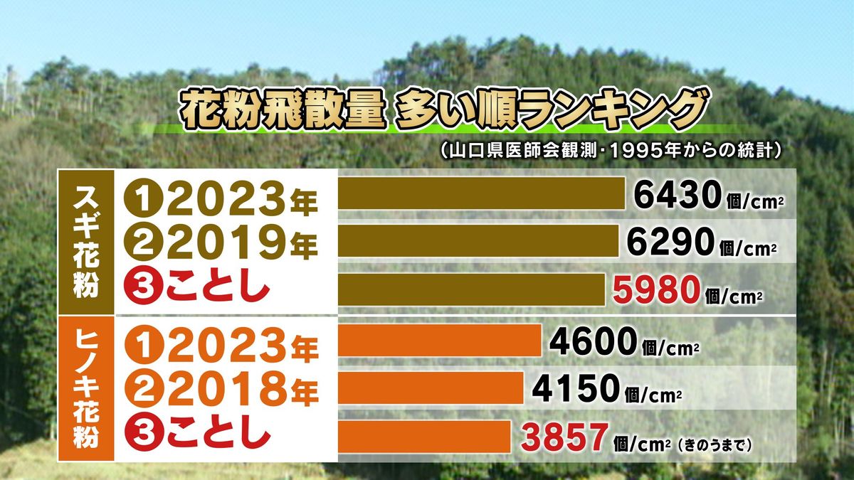 【山口天気 夕刊4/16】今季は過去3番目に多い飛散…長く辛かった花粉シーズンはほぼ終了へ あす17日(木)は所々「夏日」に