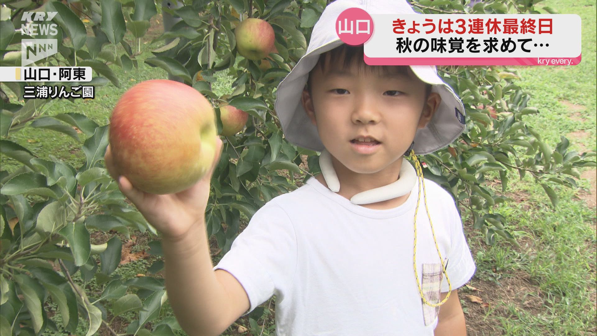 3連休最終日 秋の味覚リンゴを堪能（2024年9月16日掲載）｜KRY NEWS NNN