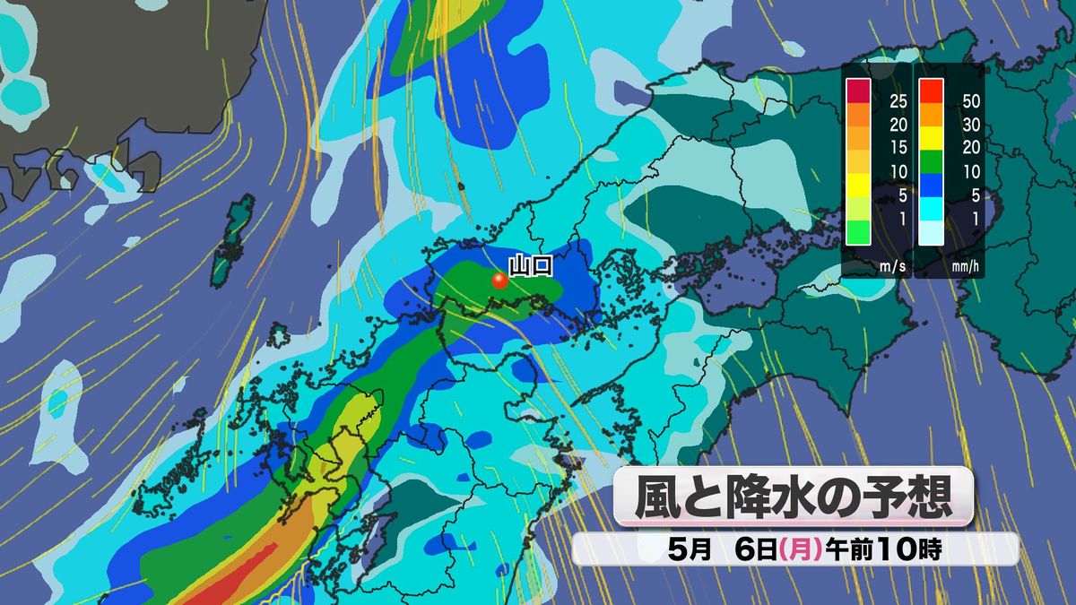 風と降水の予想