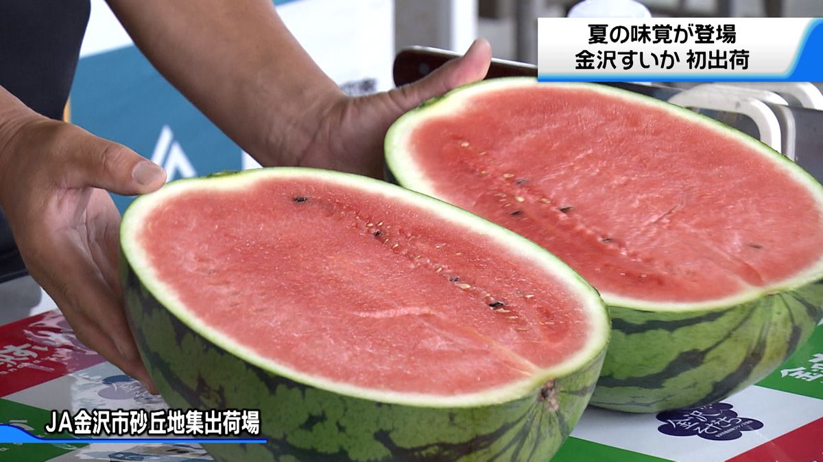 夏の味覚登場 　大玉「金沢すいか」が初出荷　能登の復興支援スイカも…