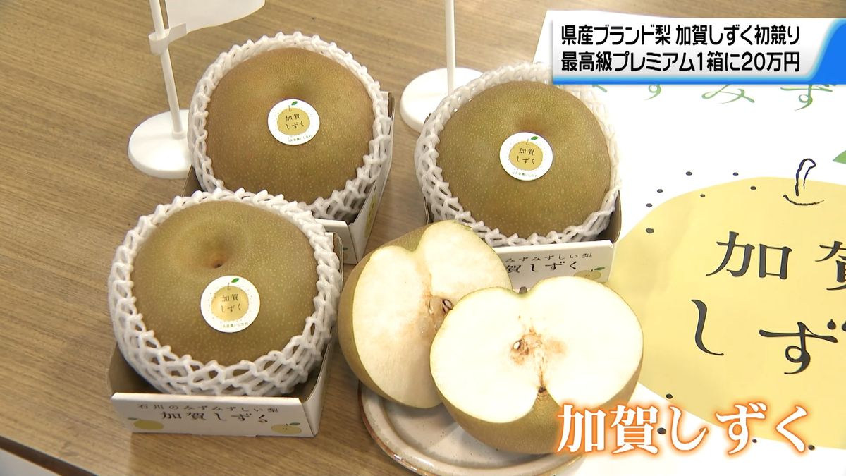 石川県産ブランドナシ｢加賀しずく｣ 金沢で初競り 最高級品プレミアム