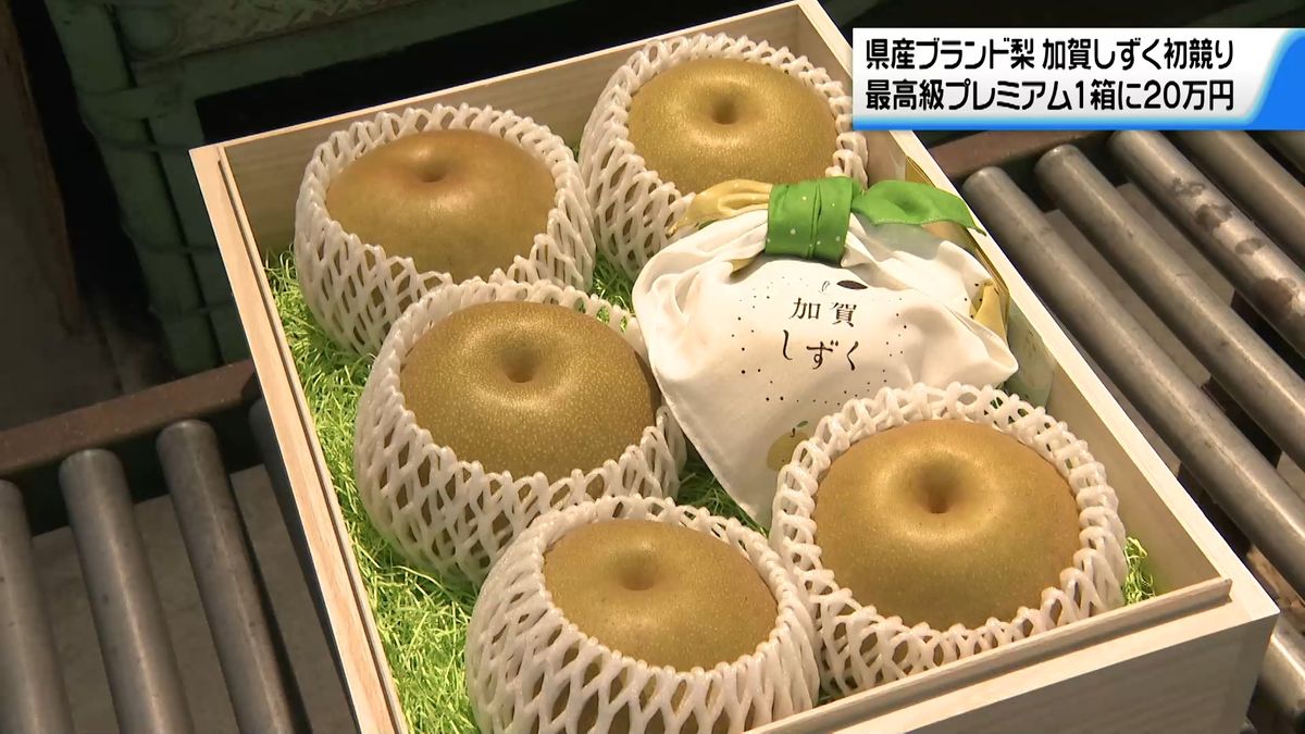 石川県産ブランドナシ｢加賀しずく｣ 金沢で初競り 最高級品プレミアム