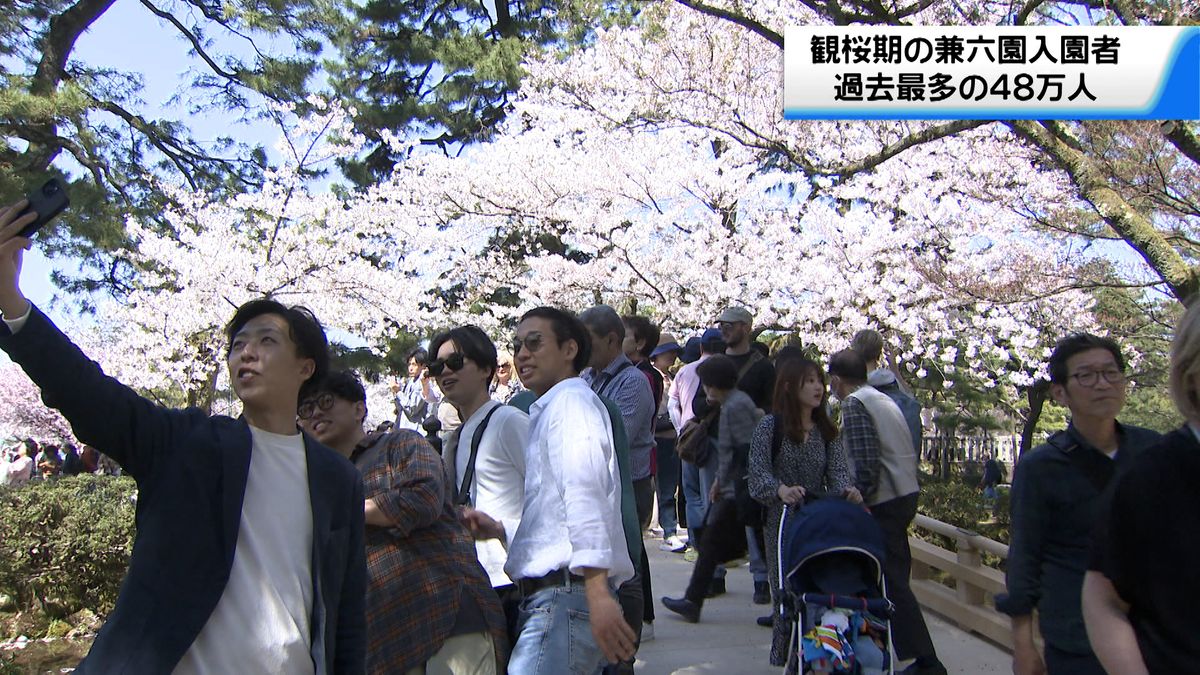 桜の時期の兼六園 過去最多48万人の来園者　金沢城公園も過去2番目の来園者数