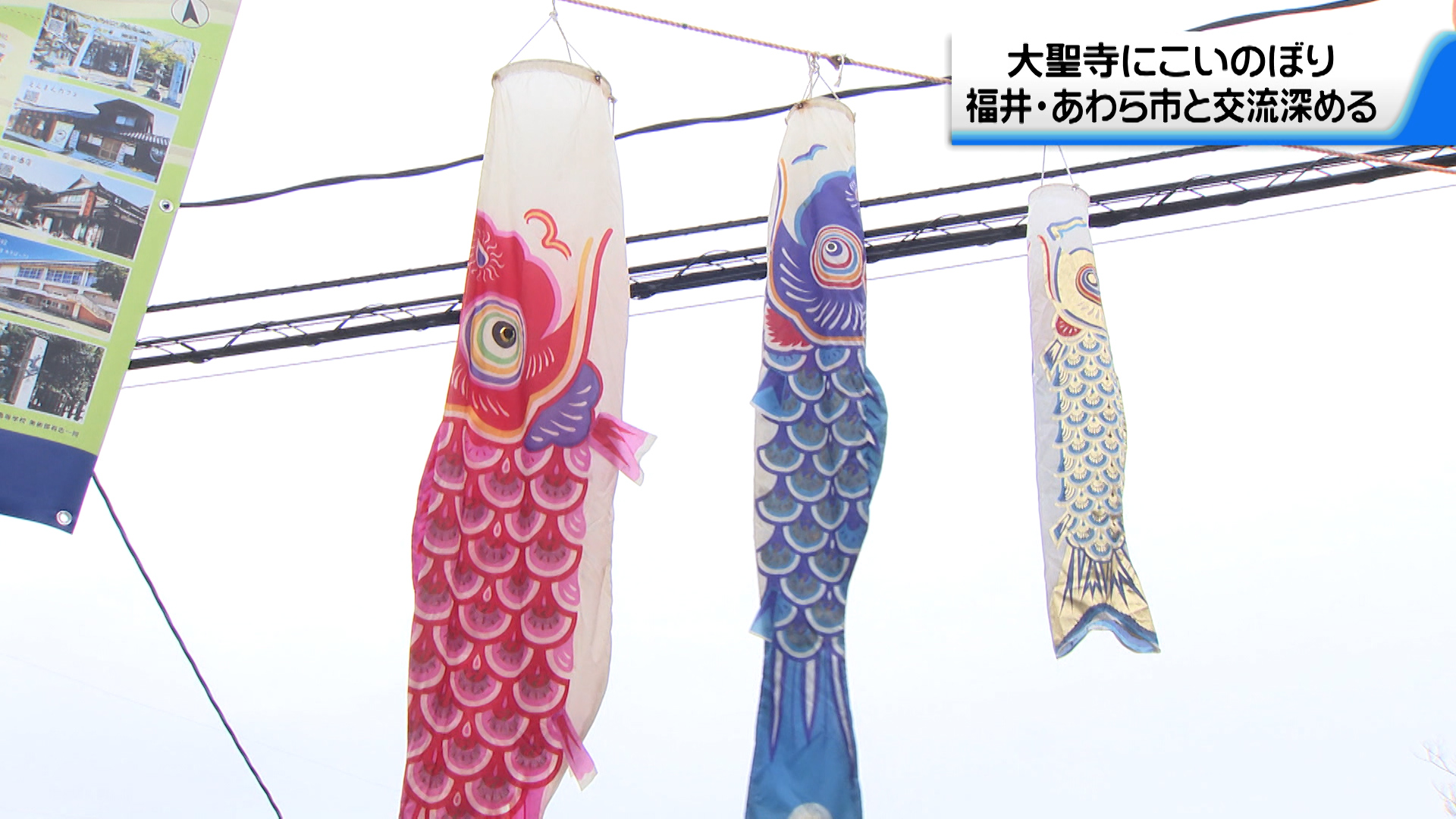 蓮如忌にあわせ加賀市の空に鯉のぼり（2024年4月22日掲載）｜テレ金