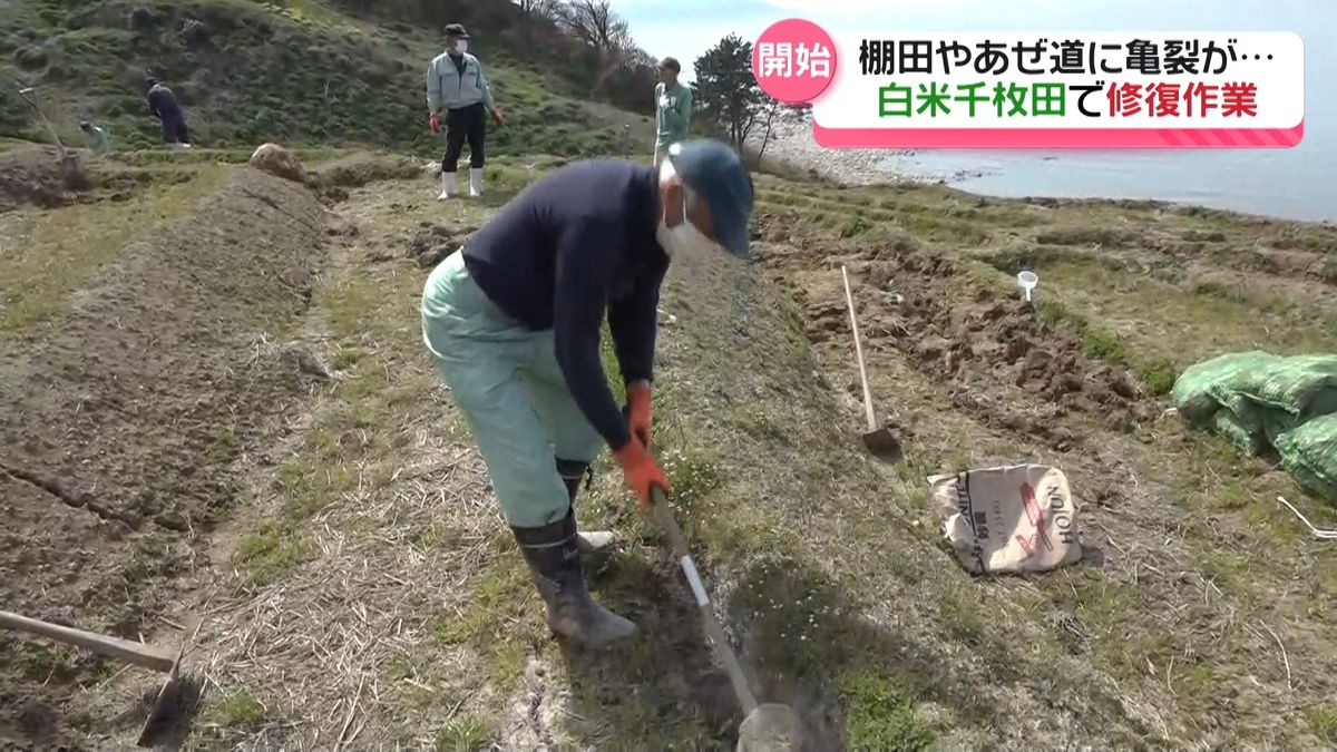 輪島市白米千枚田で本格的な修復開始　観光名所復活へ一歩