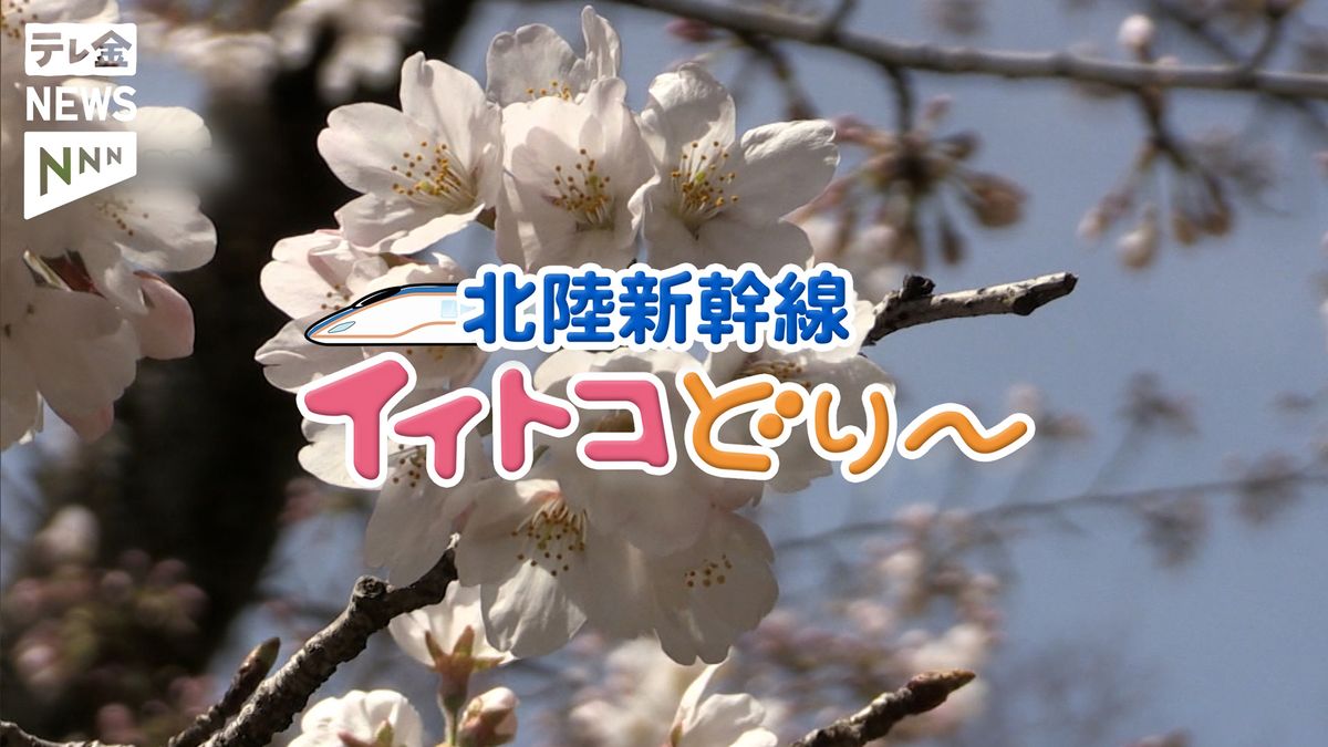 敦賀延伸前日！ 長野富山石川福井 北陸新幹線イイトコどり　各停車駅オススメスポット