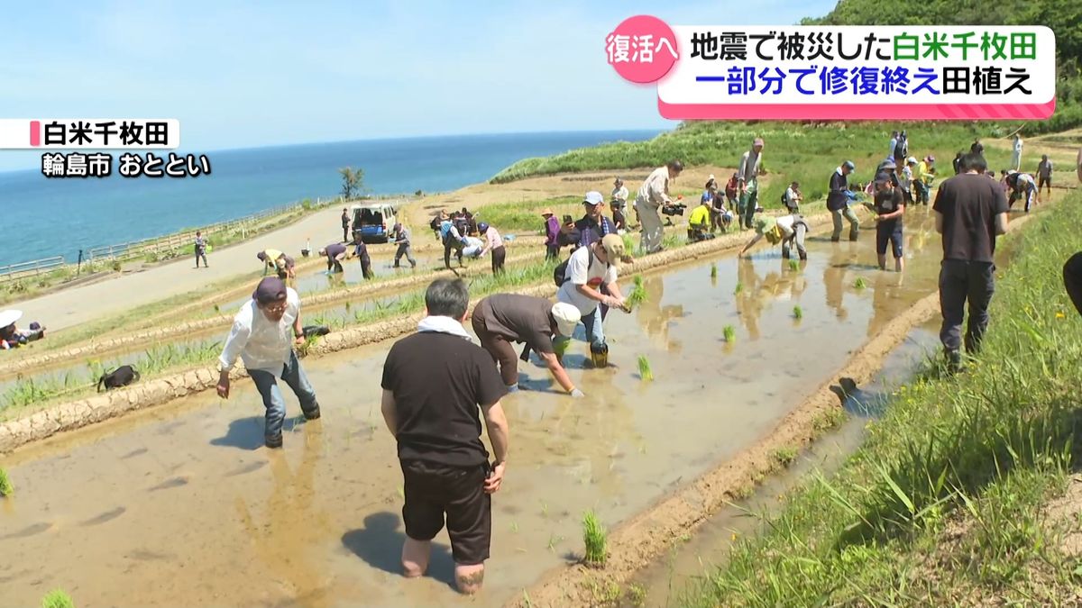 地震被害の白米千枚田で田植え開始も…輪島市内での農業再開は5割に留まる