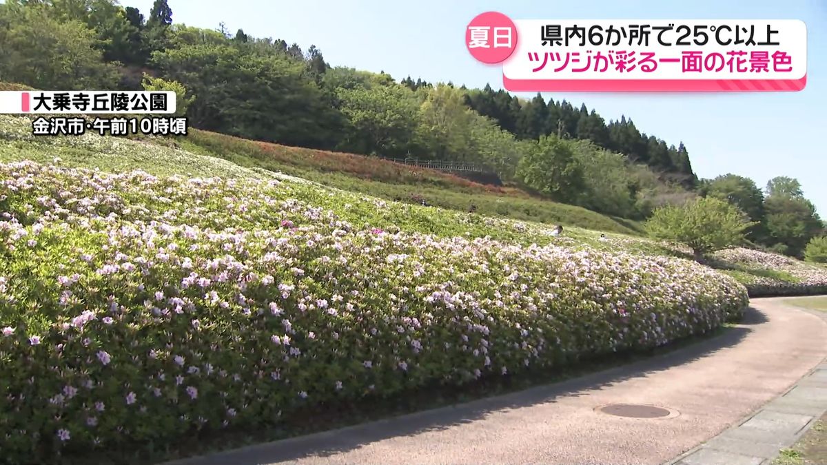 石川の各地で夏日 赤ちゃん連れて“初めての花景色” 1万3千株のツツジ