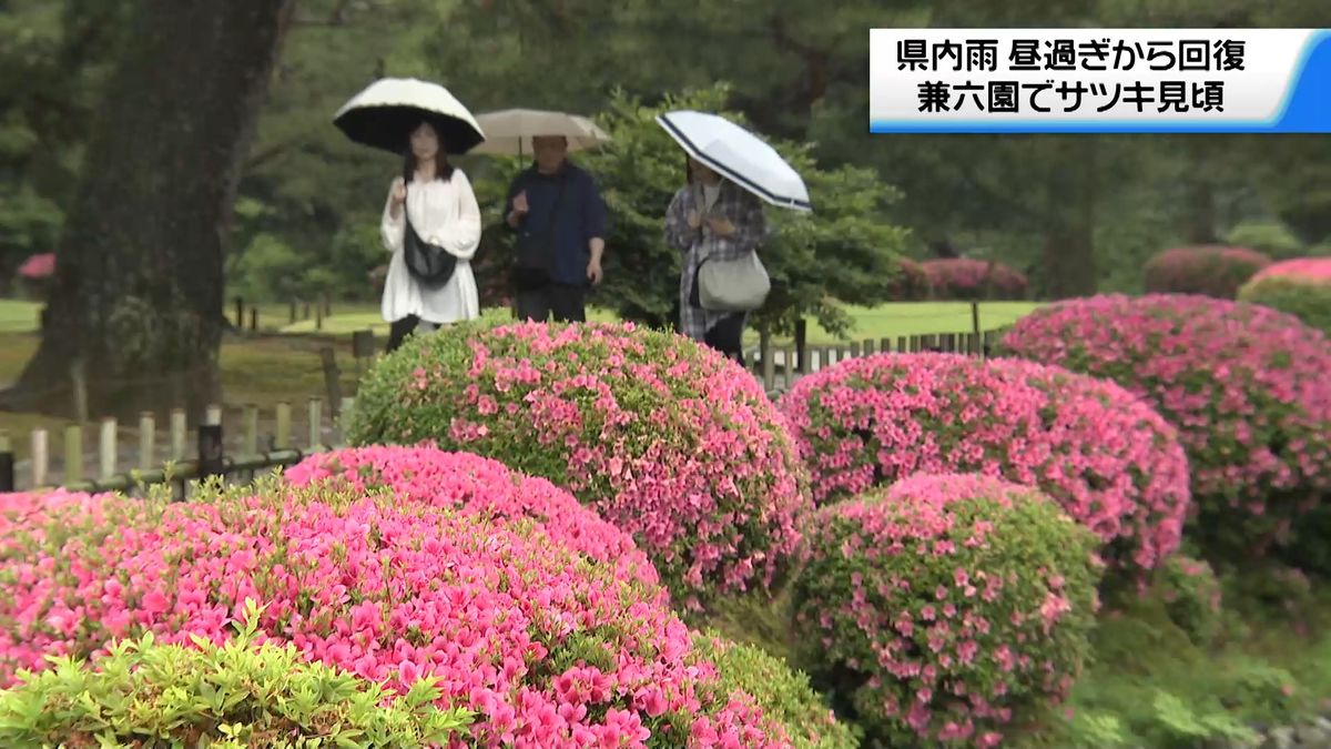 ぐずついた空模様も午後から回復見込みの石川　観光客は“名園で散策”楽しむ