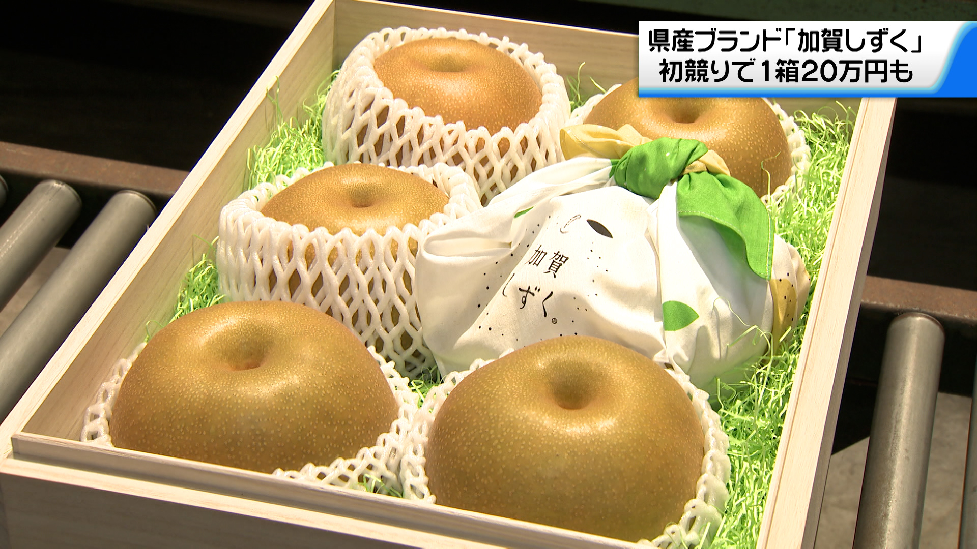 石川県産ブランド梨「加賀しずく」の初競り プレミアムは1箱20万円