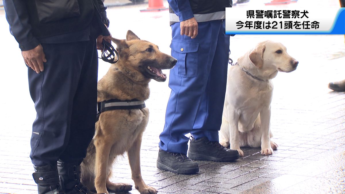 石川県警　今年度の嘱託警察犬に21頭任命