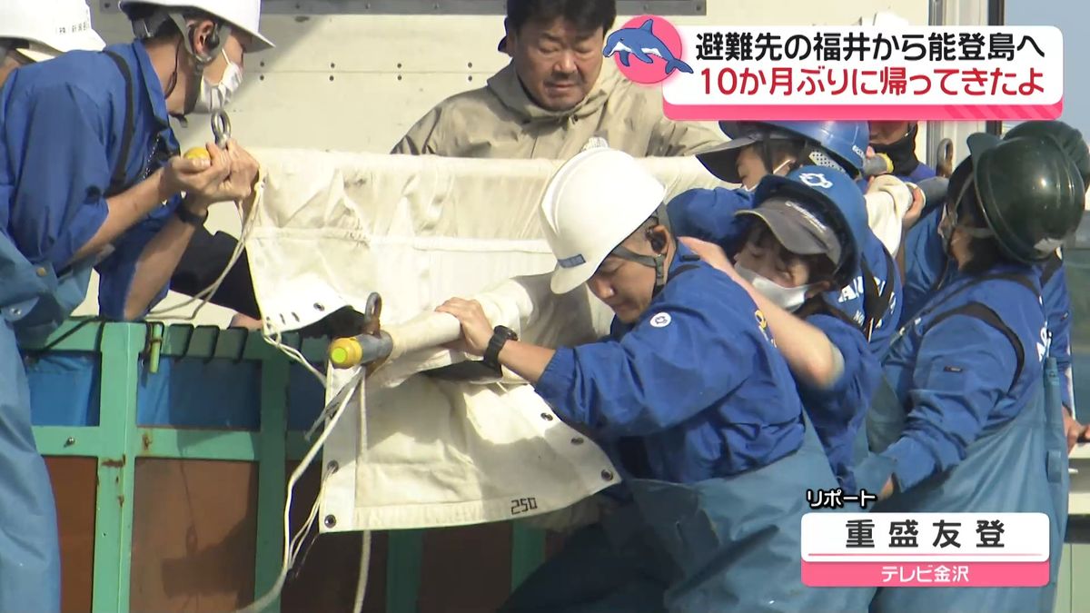 地震で避難の人気者イルカ2頭　石川・七尾市ののとじま水族館に帰還