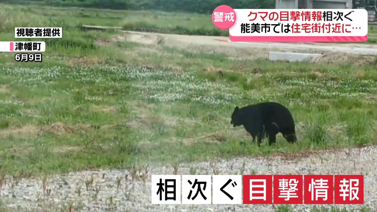 黒いのが見えた」 連日市街地でクマ目撃の石川・能美市 保護者付き添い