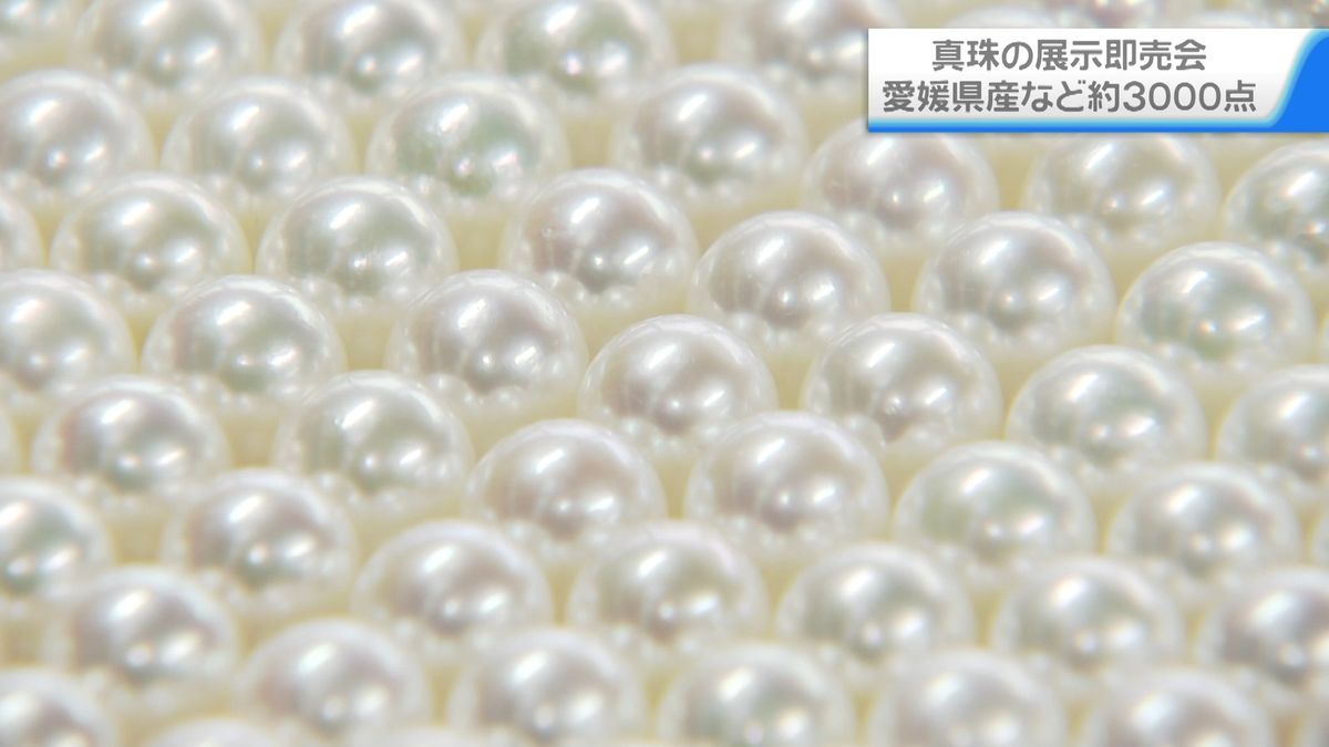 本物の真珠を！　展示即売会「パールフェア」　石川・金沢市で始まる