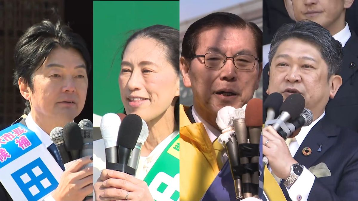 活動歴および当時の関連ビジュアル記録