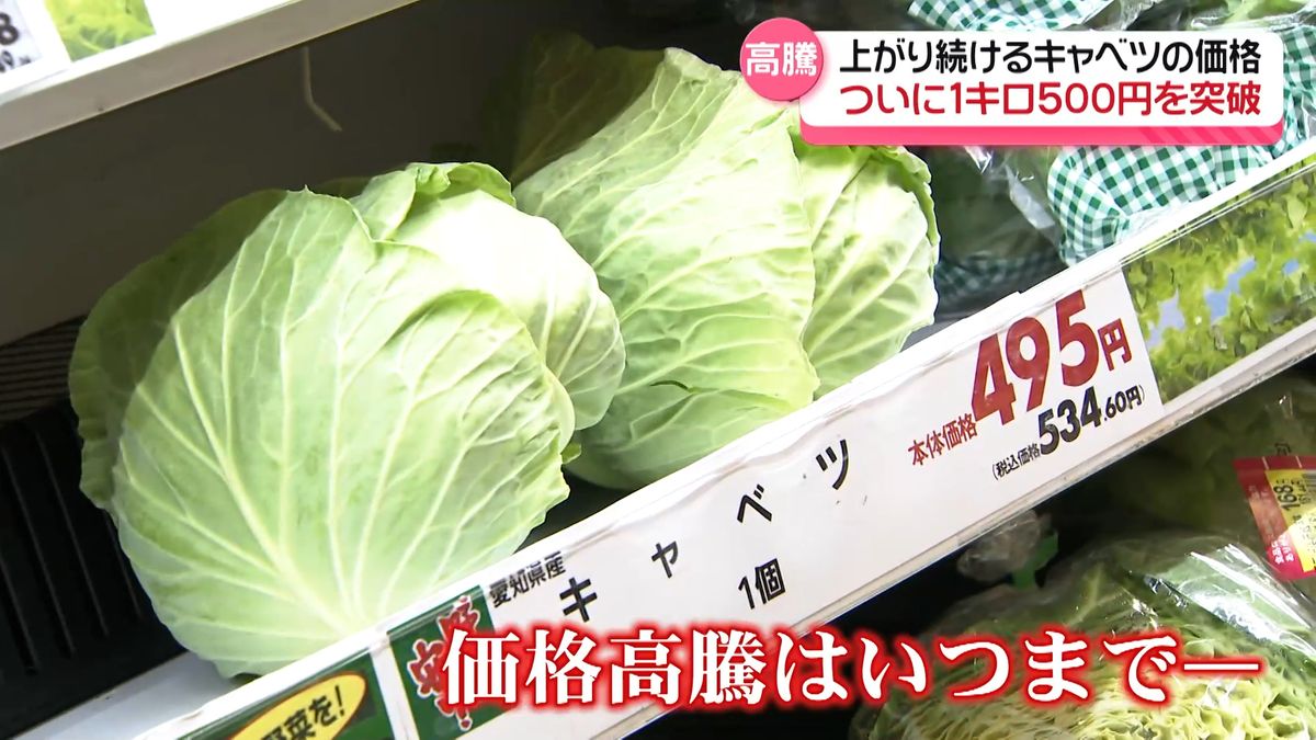 もはやキャベツは高級食材…いつまで続く野菜の高騰　石川のスーパーでは“ある取り組み”も…