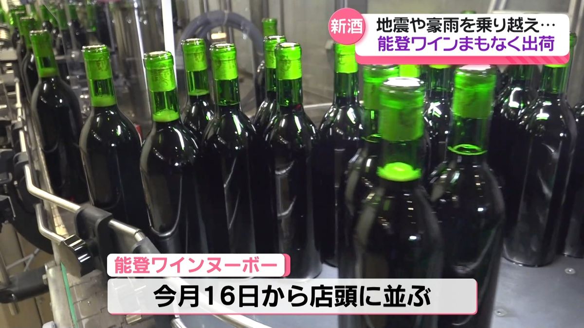 災害乗り越えた能登の新酒ワイン　まもなく販売へ　石川・穴水町で瓶詰作業