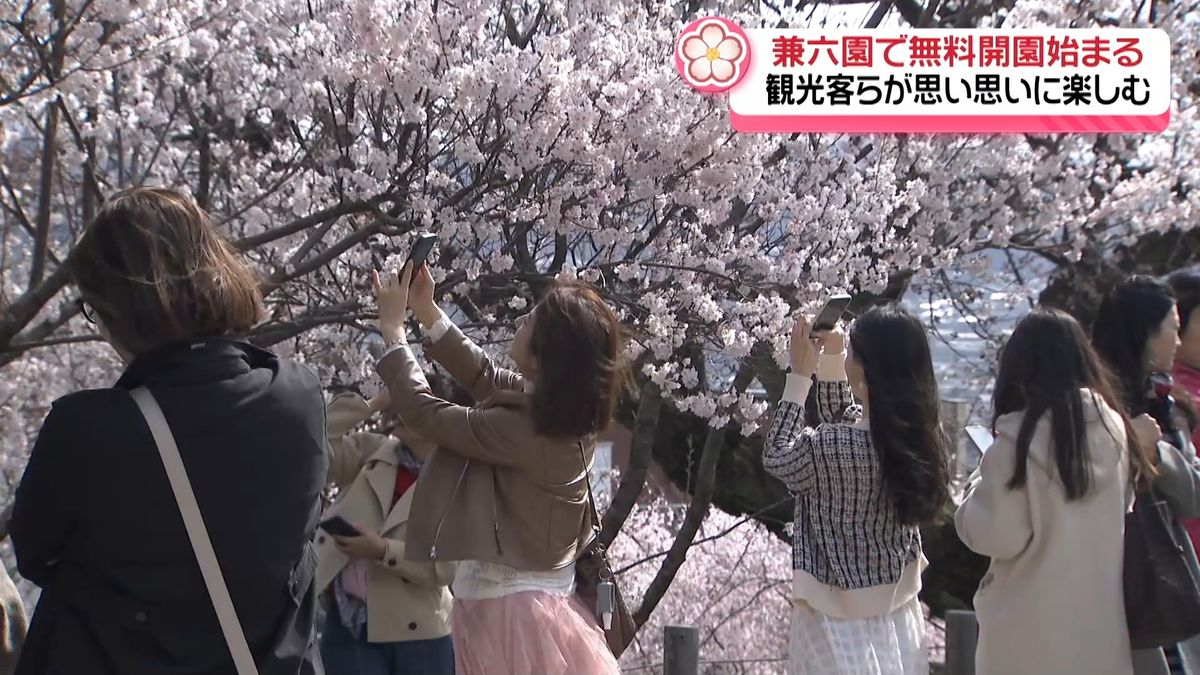 石川県内も花見シーズン 兼六園の桜もまもなく”満開”　きょうから無料開園始まる