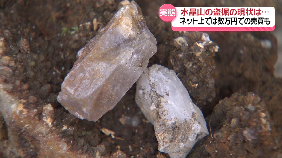 紫水晶 自己採集 原石 石川県 石川県産 紫水晶 | 鉱物標本,ア行,アメシスト/紫水晶 | ほたるみねらる