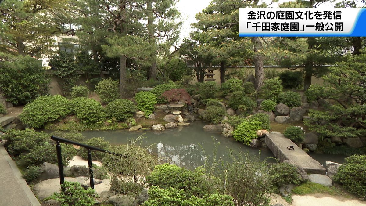金沢の庭園文化を発信　武家屋敷跡「千田家庭園」の一般公開始まる