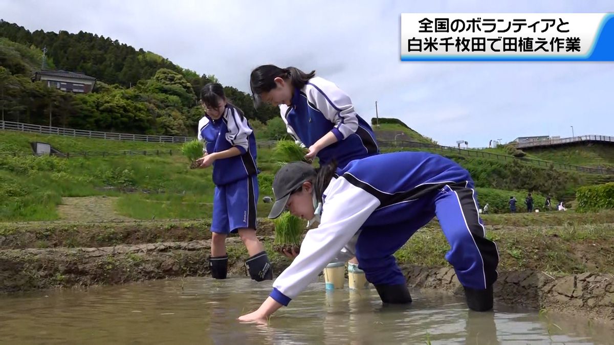 地元有志が中心に復旧　石川・輪島市の白米千枚田で今シーズンの田植え作業始まる