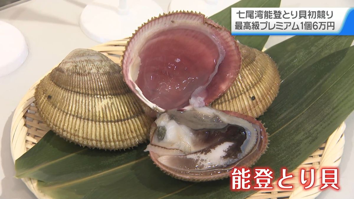 プレミアム“1個6万円”の過去最高値 「能登とり貝」初競り 出荷の6割は