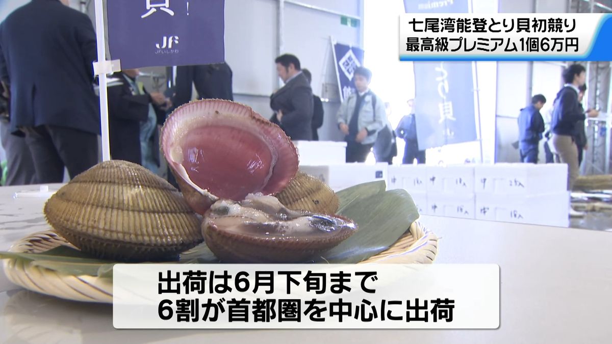 プレミアム“1個6万円”の過去最高値 「能登とり貝」初競り 出荷の6割は 