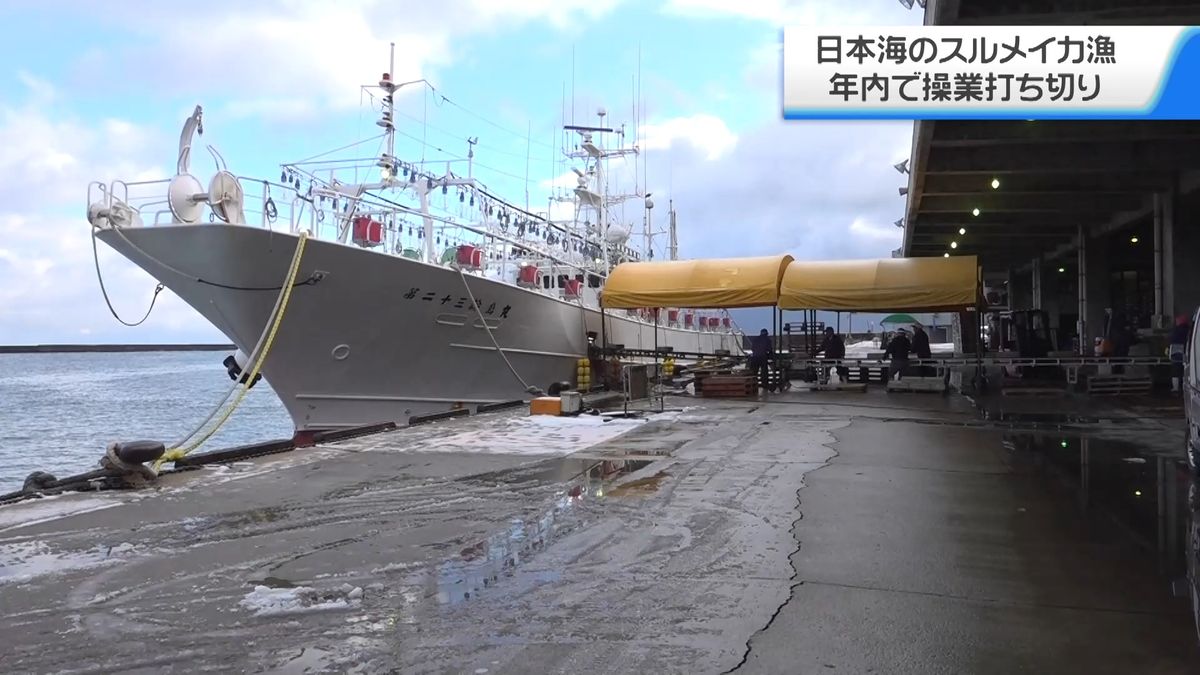 スルメイカ不漁つづく　石川県の中型イカ釣り船　年内で今季の漁打ち切り