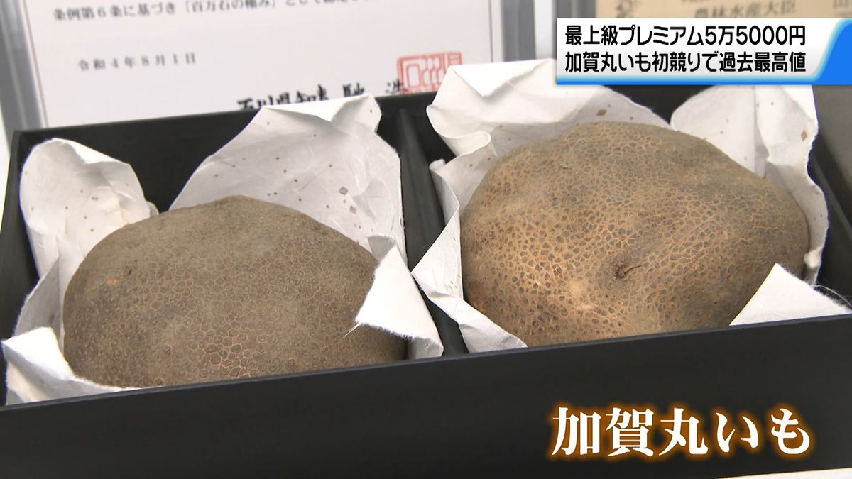 特産｢加賀丸いも｣初競り 最上級品“プレミアム”に過去最高値の5万5000円 