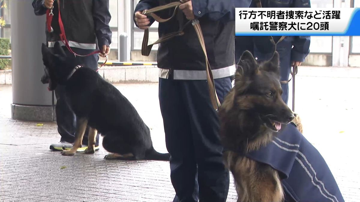 【強者警察犬さん　専用】 嘱託警察犬】ことしは9頭に委嘱 警察で嘱託書が交付 《新潟