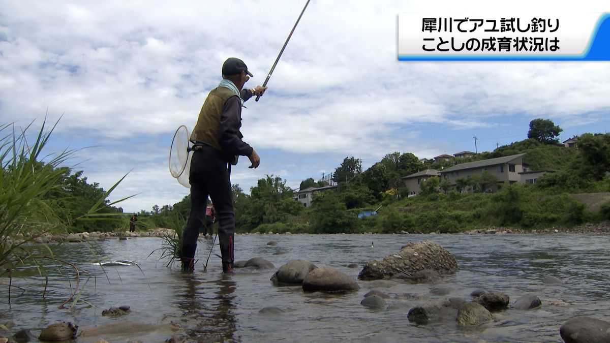 金沢でアユの試し釣り　石川の河川の多くで6月16日漁解禁