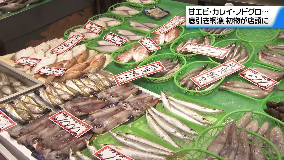甘エビやカレイ”店頭に 解禁の底引き網漁の初物並ぶ 去年より入荷量