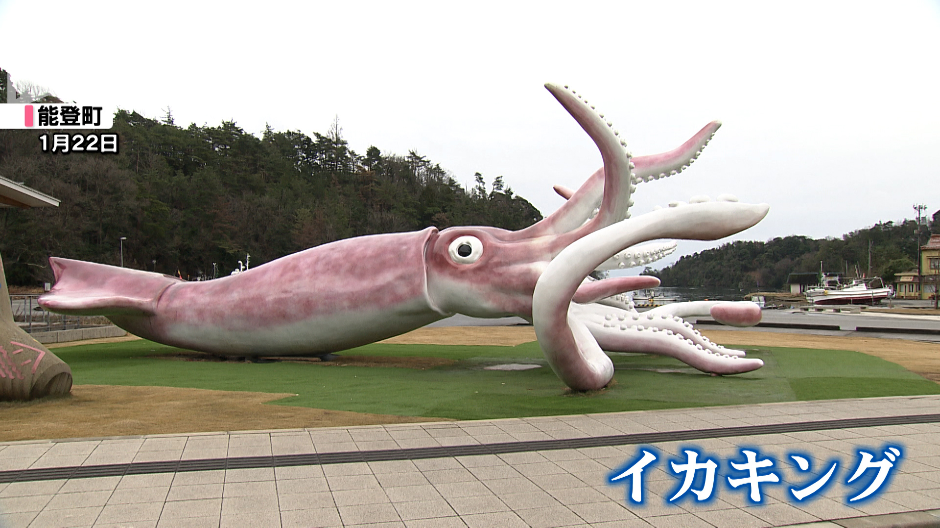 イカキング 津波に勝った”イカキング” 能登町の交流施設が3か月ぶりに営業再開