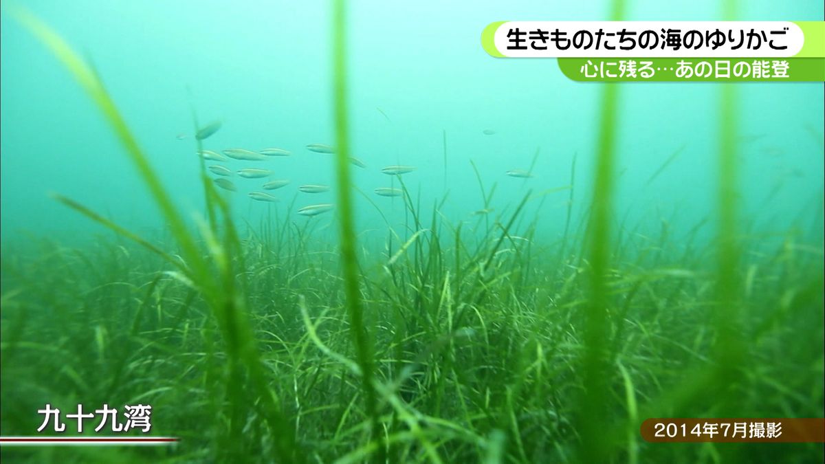 能登のきらめき～海のゆりかご「九十九湾」