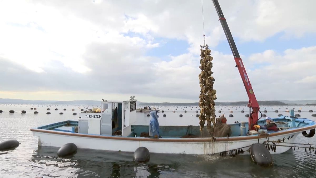 能登のきらめき　～「能登かき」 恵み豊かな海の贈り物 ～