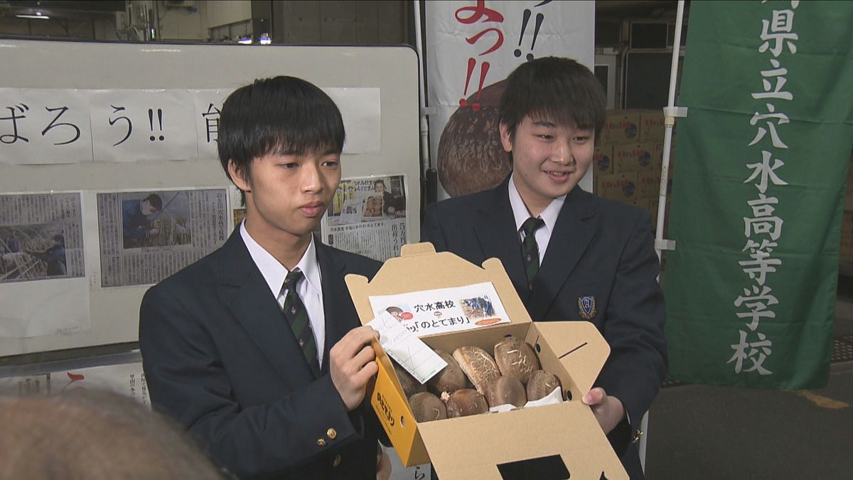 地震乗り越え…初競りで1箱11万円！穴水高校で栽培した最高級シイタケ「のとてまり」　