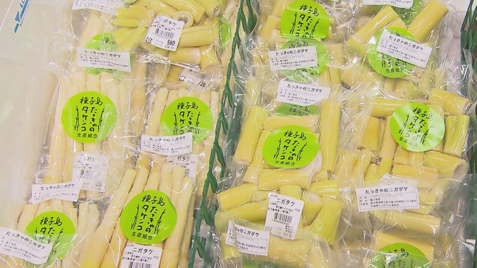 徳島県産 たけのこ 10ケース Is！ 楽天市場】【送料無料】 中国産 有機たけのこ水煮 ホール 1本