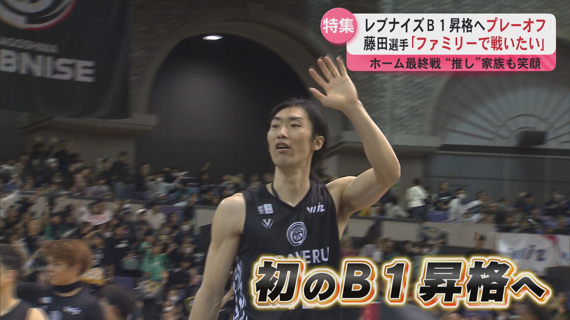 鹿児島レブナイズプレーオフでB1昇格を狙う ファンの声援で成長を続けるチームの挑戦