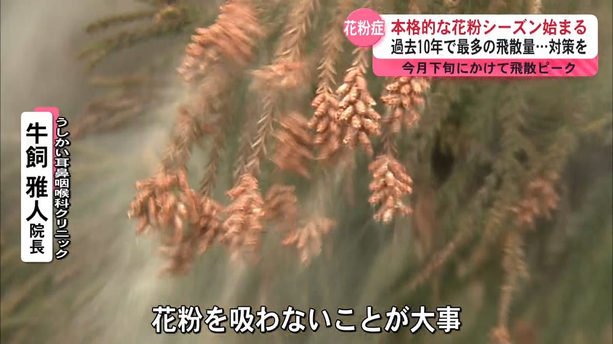 本格的な花粉シーズン到来　過去10年で最も多い飛散量の予想…例年より万全の対策を