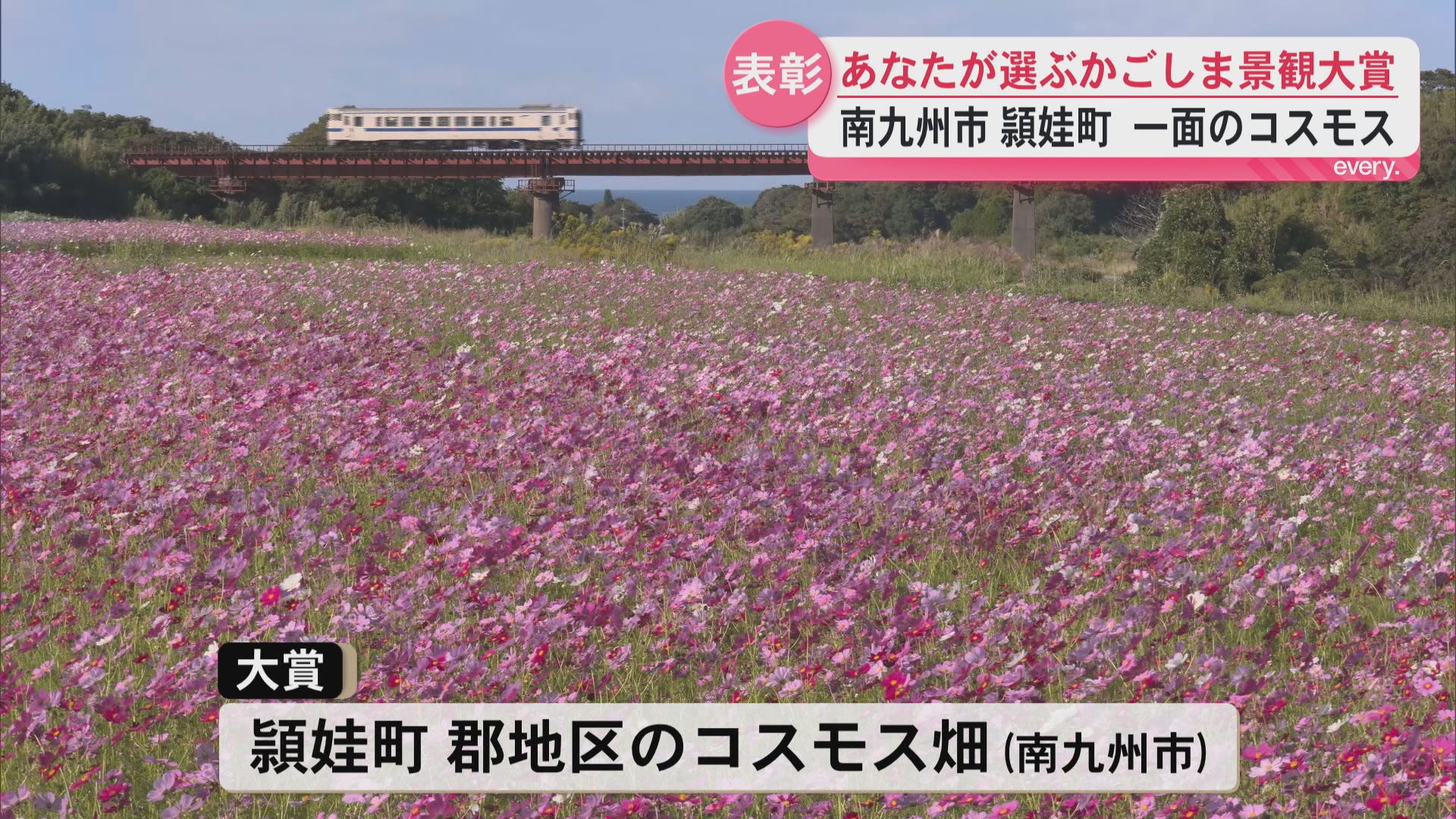 かごしま景観大賞表彰式　大賞は「南九州市頴娃町のコスモス畑」