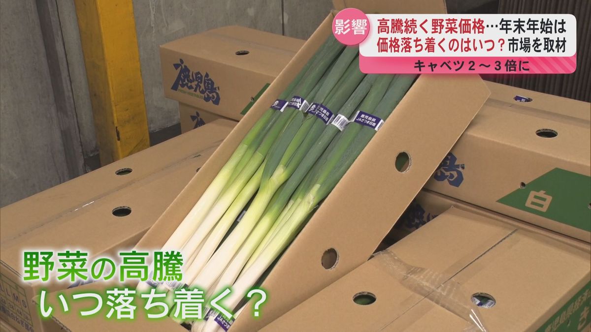 続く野菜の高騰…いつになったら値段落ち着く？青果市場を取材  家計に厳しい年末年始に