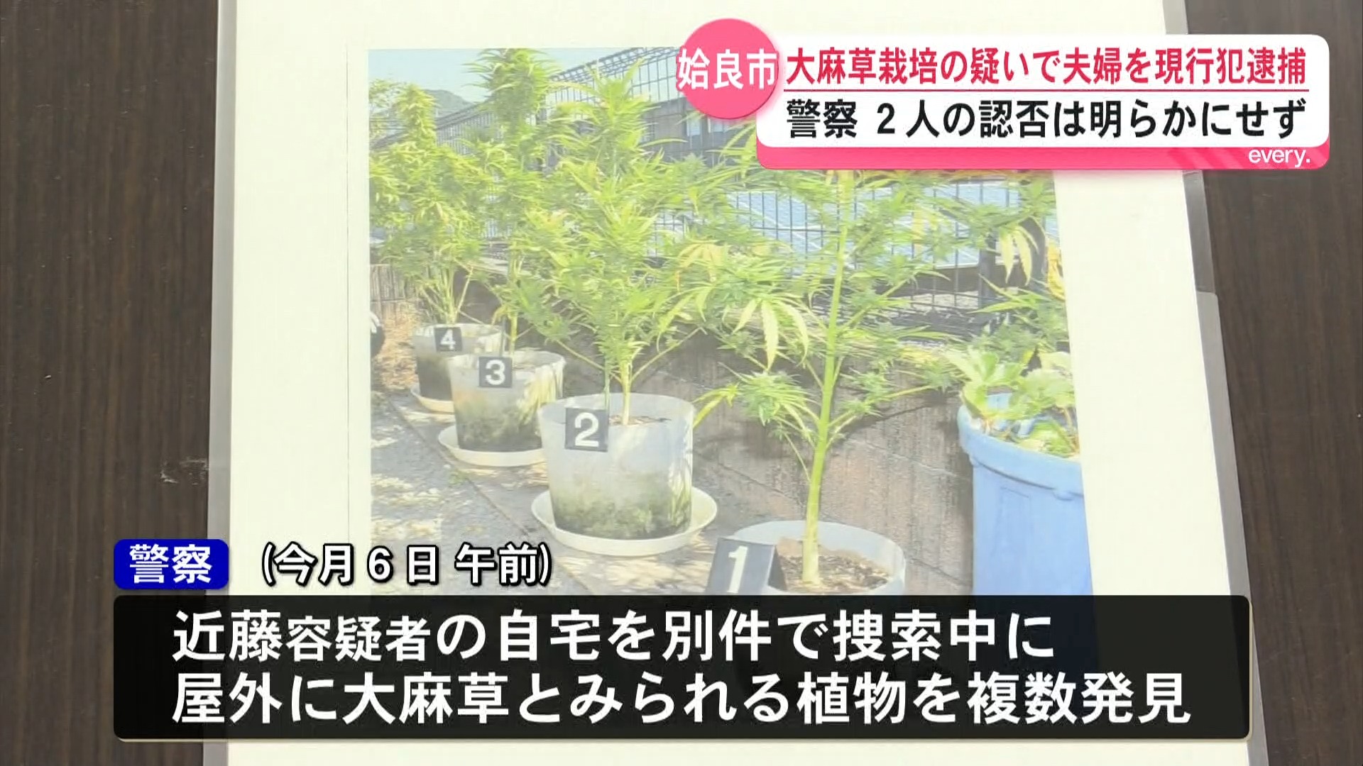 大麻草栽培の疑いで夫婦を現行犯逮捕　鹿児島県姶良市　警察が別件で家宅捜索中に発見　屋外テラスの鉢植え