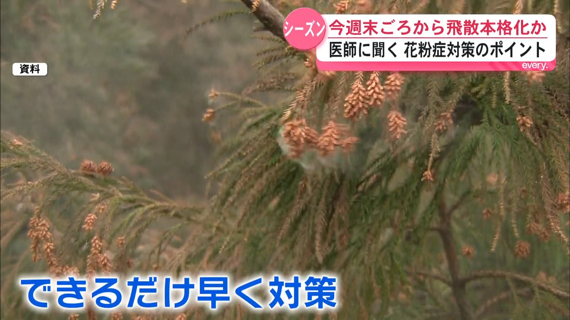 花粉症シーズン到来　少しでも楽にするための対策は？