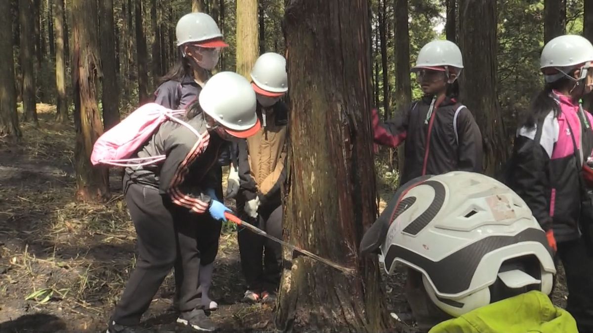 小学生が森づくり学ぶ ｢きりしま九電みらいの森｣で環境教育