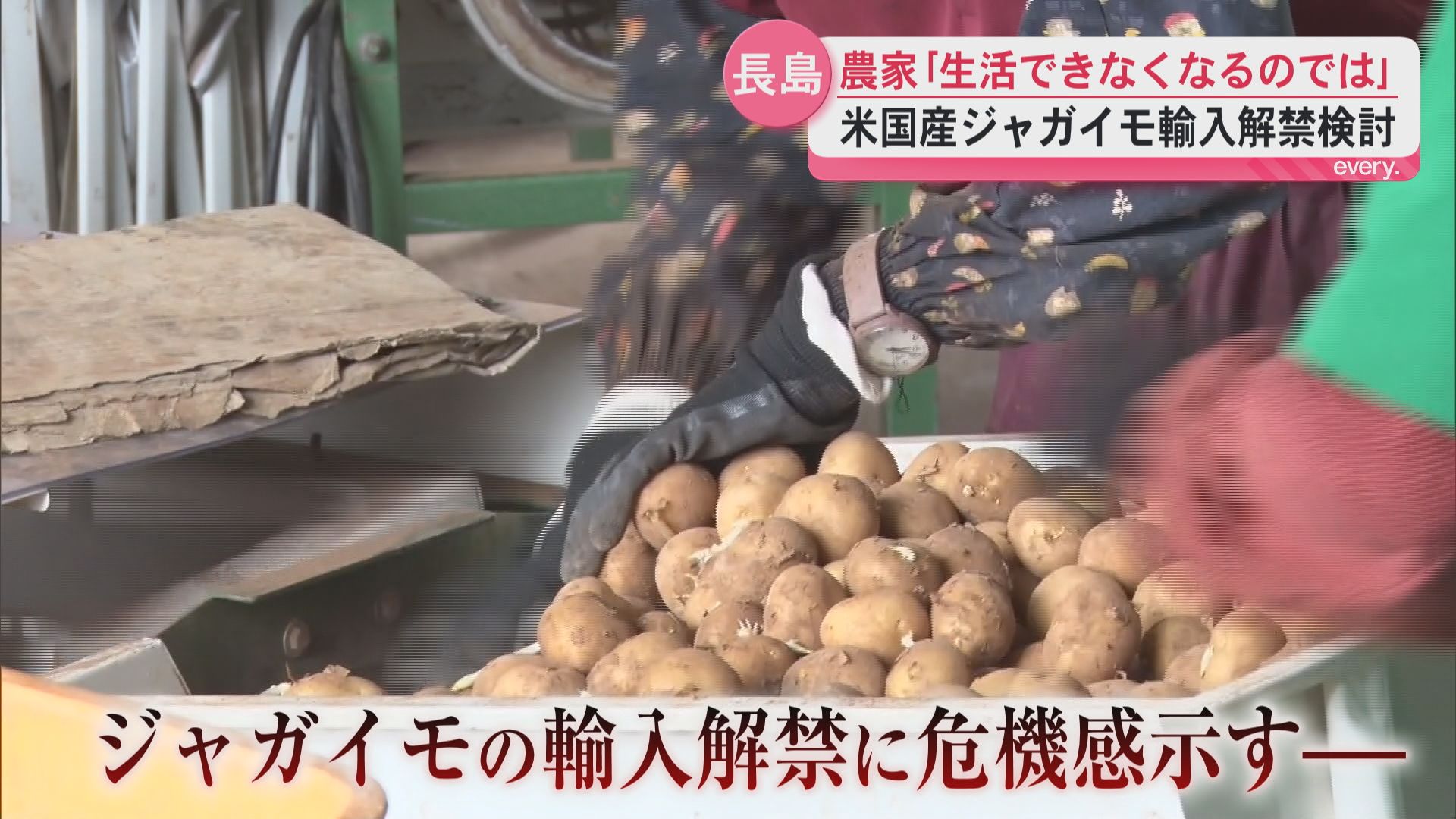 「売れなくなり生活できなくなるのでは」アメリカ産のジャガイモ輸入解禁検討　生産農家は危機感示す