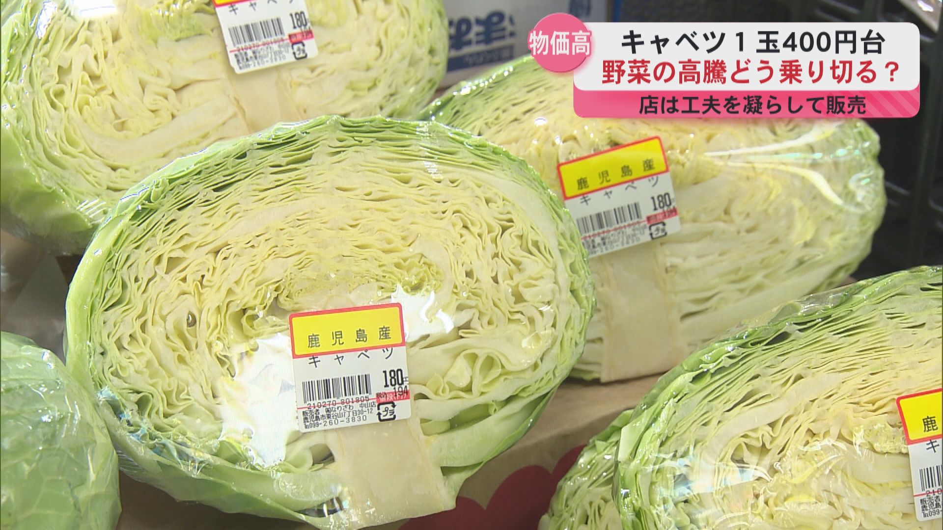 キャベツは平年の3.3倍 高騰続く野菜価格の現状…どう乗り切る？買い