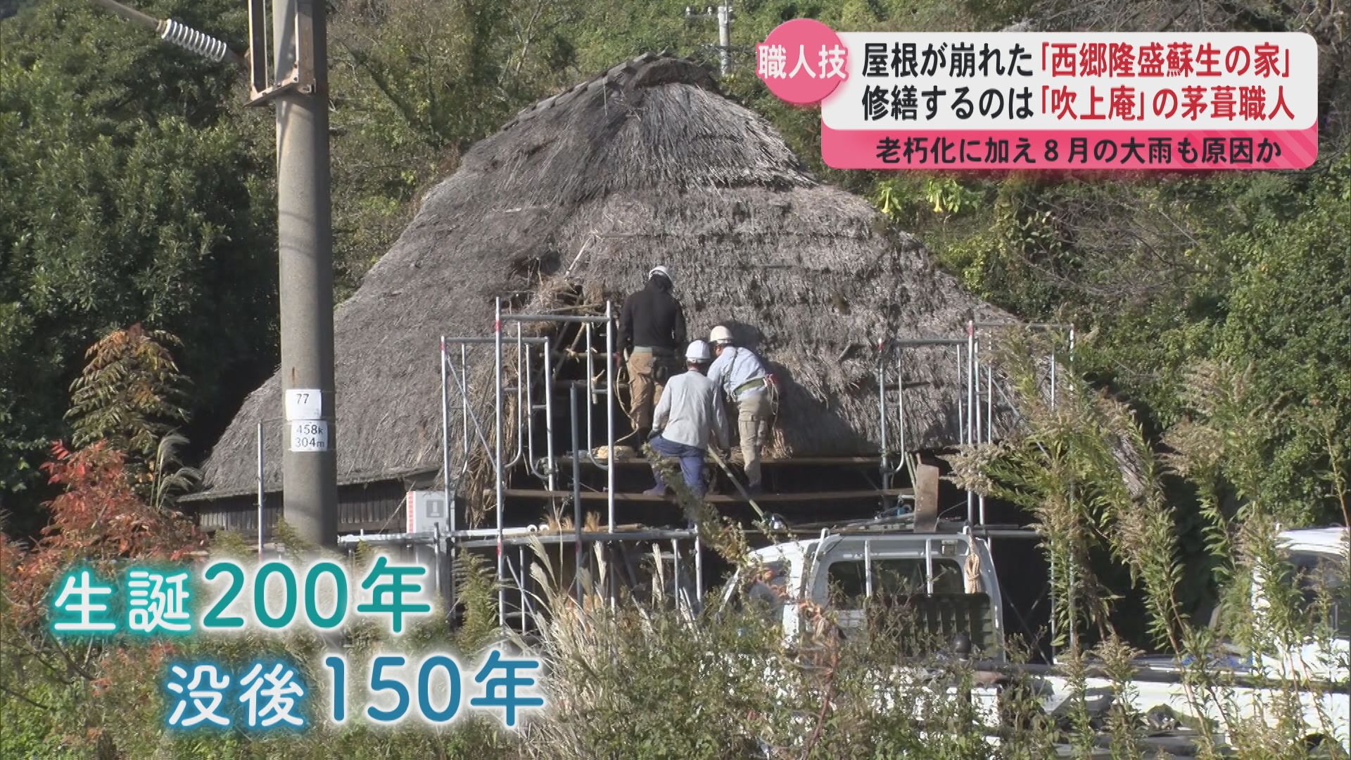 「西郷隆盛蘇生の家」崩れた屋根の修繕作業始まる　職人は茅葺き屋根が特徴の鹿児島県民おなじみの「そば店」の修繕も手掛ける