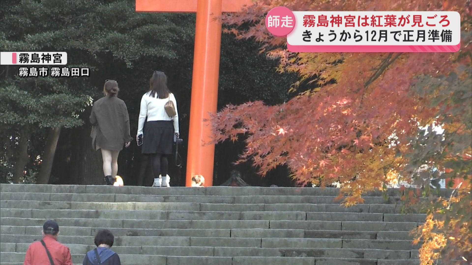 紅葉が見ごろの霧島神宮では正月準備が始まる